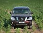 Nissan Patrol 2010 5-дверный внедорожник