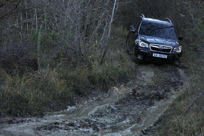 Фото Subaru Forester 5-дверный кроссовер, модельный ряд 2013 г