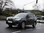 Subaru Forester 2013 5-дверный кроссовер